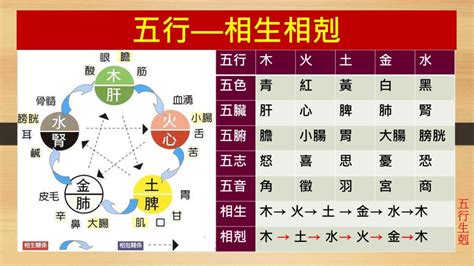 五行相生相剋關係|五行相生相剋3大重點｜了解五行，改善生活大小